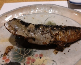 Dinner at Sushi Kizuna (鮓 きずな)