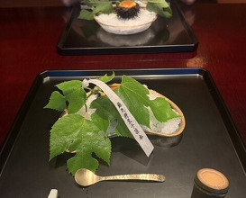 Dinner at Kodaiji Wakuden (高台寺 和久傳)