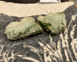 Dinner at Tempura Koizumi (天ぷら 小泉)