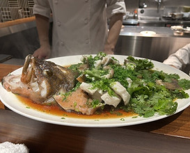 Dinner at Hongshiki Ryori Koki (港式料理 鴻禧)