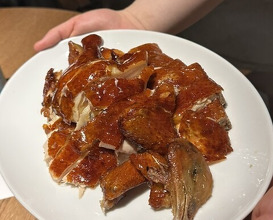 Dinner at Hongshiki Ryori Koki (港式料理 鴻禧)