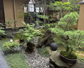 Dinner at Komatsu Yasuke (小松 弥助)