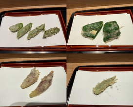 Dinner at Tempura Kondo (てんぷら 近藤)