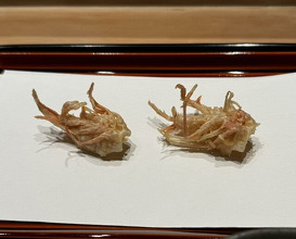 Dinner at Tempura Kondo (てんぷら 近藤)