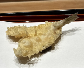 Dinner at Tempura Kondo (てんぷら 近藤)