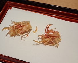 Dinner at Tempura Kondo (てんぷら 近藤)