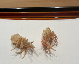 Dinner at Tempura Kondo (てんぷら 近藤)