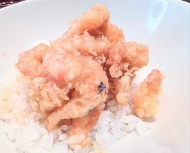 Dinner at Tempura Kondo (てんぷら 近藤)