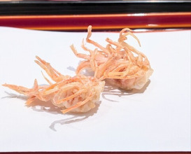 Dinner at Tempura Kondo (てんぷら 近藤)