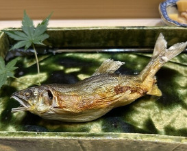 Dinner at Kyodaisushi