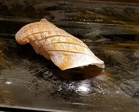 Dinner at Kyogoku Zushi (京極寿司)