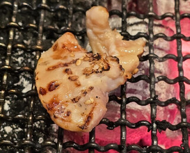 Dinner at Sumibi Yakiniku Kyuu (炭火焼肉 久)