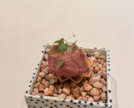 Dinner at Restaurant L’ÉTERRE