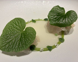 Dinner at LATURE (ラチュレ)