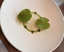 Dinner at LATURE (ラチュレ)