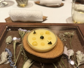 Dinner at LATURE (ラチュレ)