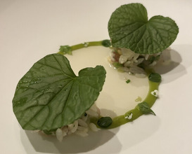 Dinner at LATURE (ラチュレ)