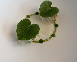 Dinner at LATURE (ラチュレ)