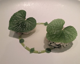 Dinner at LATURE (ラチュレ)