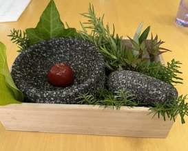 Dinner at Budoonomori Les Tonnelles (レストランぶどうの森 レ・トネル)