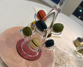 Dinner at maison FUJIYA hakodate (メゾン フジヤ ハコダテ)