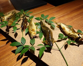 Dinner at Makinonci (マキノンチ)