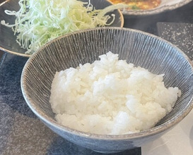 Dinner at Tonkatsu Mange (とんかつ マンジェ)