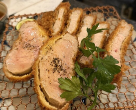 Dinner at Tonkatsu Mange (とんかつ マンジェ)
