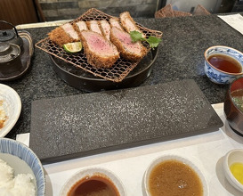 Dinner at Tonkatsu Mange (とんかつ マンジェ)