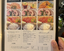 Dinner at Tonkatsu Mange (とんかつ マンジェ)