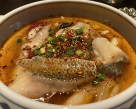 Dinner at China Sichuan Shuka Manzan (中国四川酒家 蔓山)