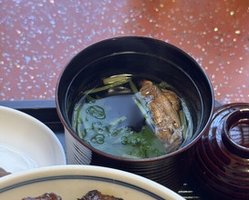 Dinner at Unagi no Matsu Ka (うなぎのまつ嘉)