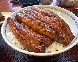 Dinner at Unagi no Matsu Ka (うなぎのまつ嘉)