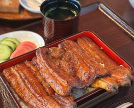 Dinner at Unagi no Matsu Ka (うなぎのまつ嘉)
