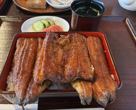 Dinner at Unagi no Matsu Ka (うなぎのまつ嘉)