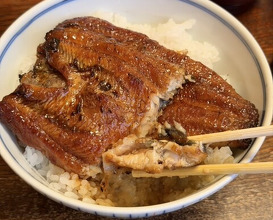 Dinner at Unagi no Matsu Ka (うなぎのまつ嘉)
