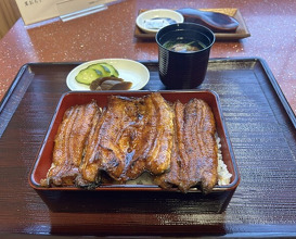 Dinner at Unagi no Matsu Ka (うなぎのまつ嘉)