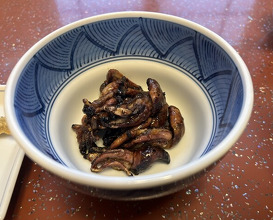 Dinner at Unagi no Matsu Ka (うなぎのまつ嘉)