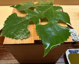 Dinner at Matsukawa (松川)