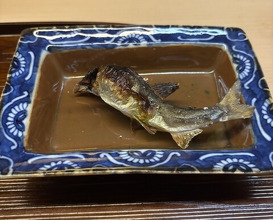 Dinner at Matsukawa (松川)