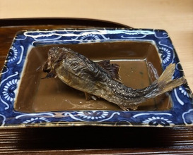 Dinner at Matsukawa (松川)