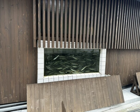 Dinner at Mikadoya (美加登家)