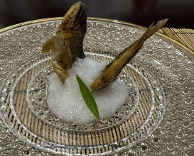 Dinner at Mikadoya (美加登家)