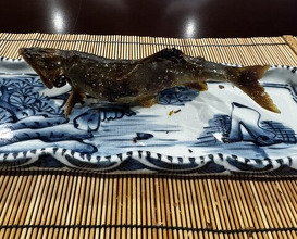 Dinner at Mikadoya (美加登家)