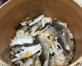 Dinner at Mikadoya (美加登家)