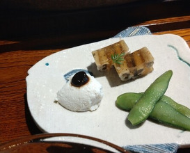 Dinner at Mikawa Zezankyo (みかわ 是山居)