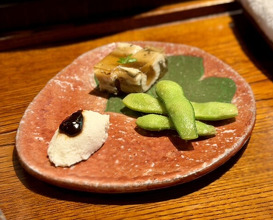 Dinner at Mikawa Zezankyo (みかわ 是山居)