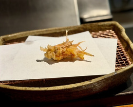 Dinner at Mikawa Zezankyo (みかわ 是山居)