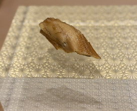Dinner at Mitani (三谷)