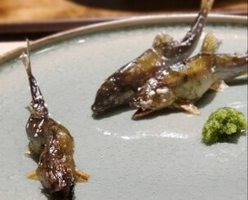 Dinner at Oryori Mitsuyasu (御料理 光安)